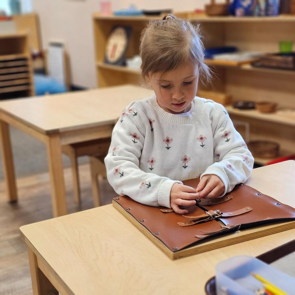 child fastening buckles as a practical life activity in a montessori classroom