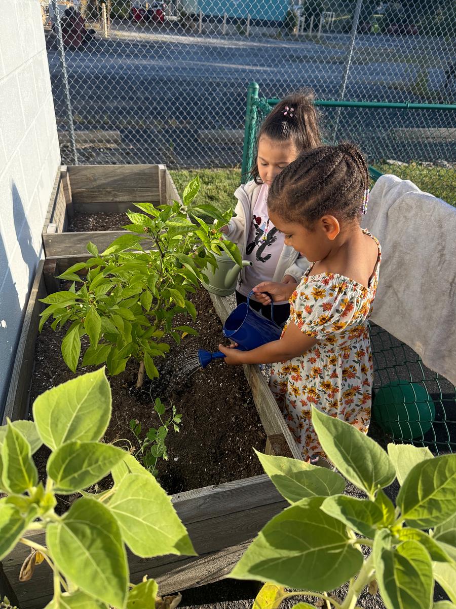 students watering a garden at a Montessori school