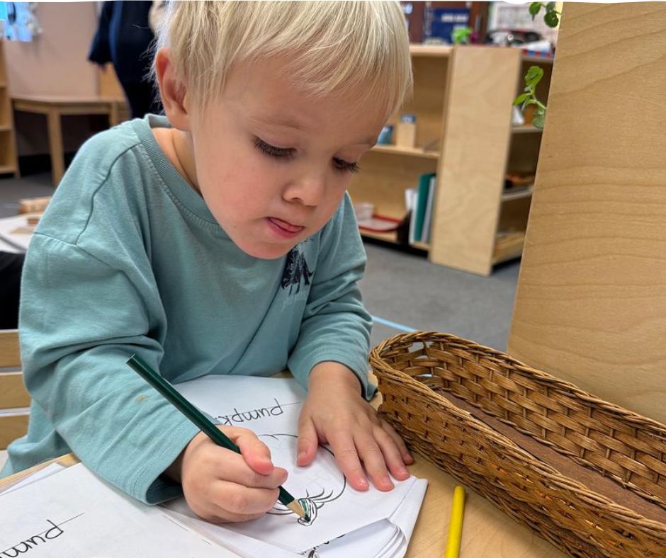 child concentrating on his work in a montessori classroom