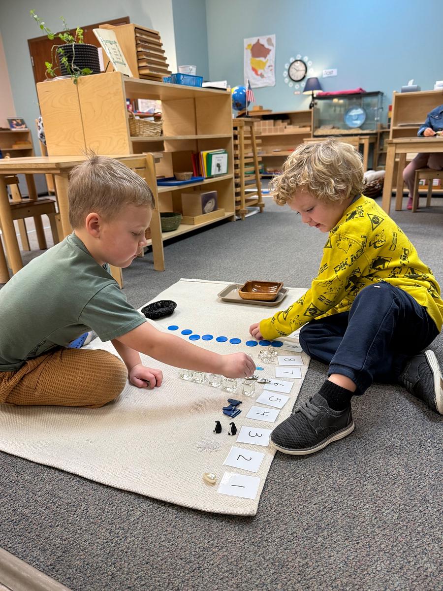 Children work together on the floor on a counting activity in a Montessori classroom