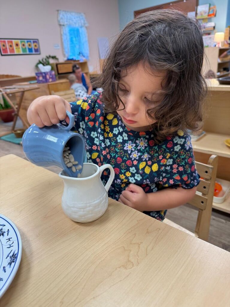 child pouring between pitchers in a Montessori environment