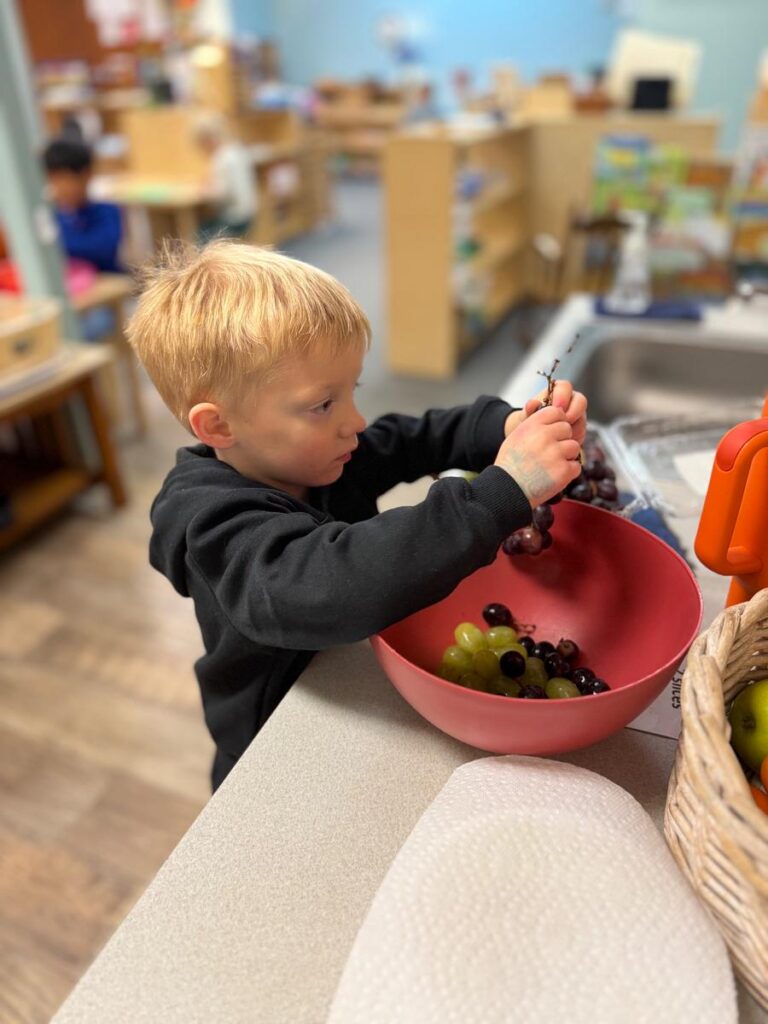 child washing grapes at a Montessori school